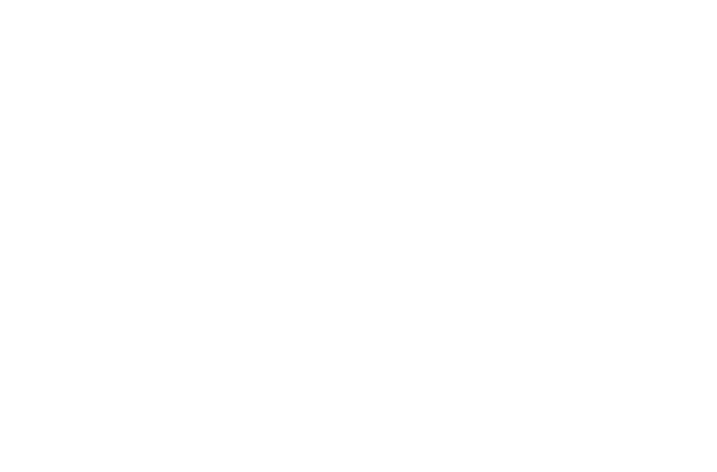 eggcelente identidad no fondo aaff 02